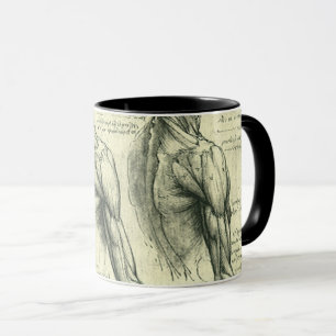 Leonardo da Vincis Anatomie des Arms und der Schul Tasse