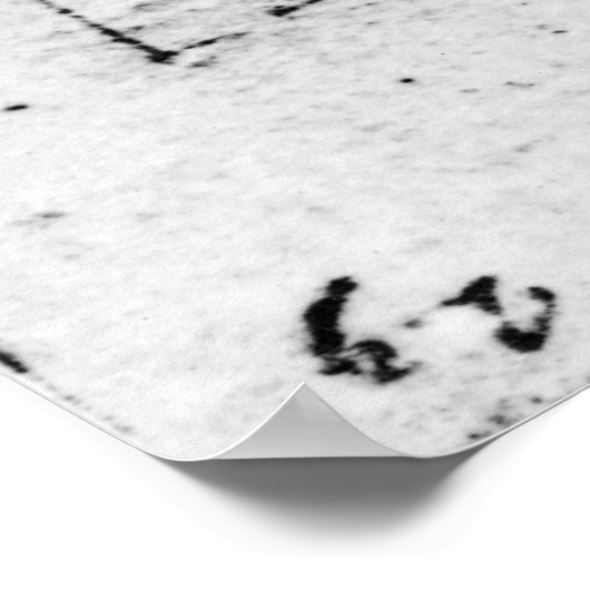 Leonardo da Vincis Handschrift Poster (Ecke)