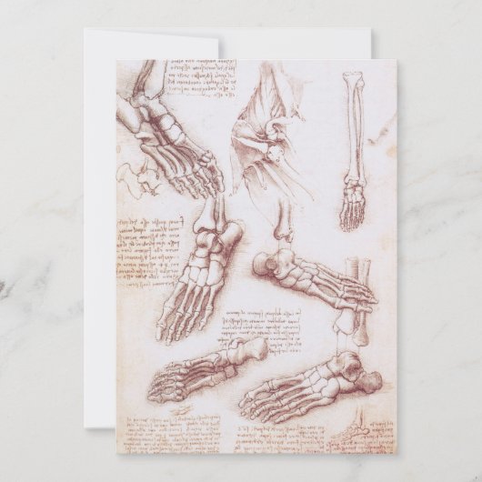 Leonardo da Vincis menschliche Anatomie (Vorderseite)