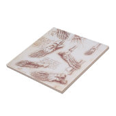 Leonardo da Vincis menschliche Anatomie Fliese (Seite)