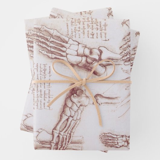 Leonardo da Vincis menschliche Anatomie Geschenkpapier Set (Beispiel)