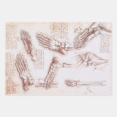 Leonardo da Vincis menschliche Anatomie Geschenkpapier Set (Vorderseite)