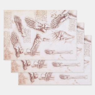 Leonardo da Vincis menschliche Anatomie Geschenkpapier Set