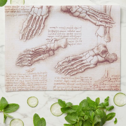 Leonardo da Vincis menschliche Anatomie Geschirrtuch (Gefaltet)