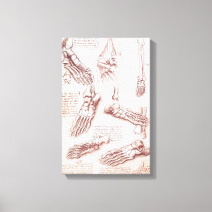 Leonardo da Vincis menschliche Anatomie Leinwanddruck