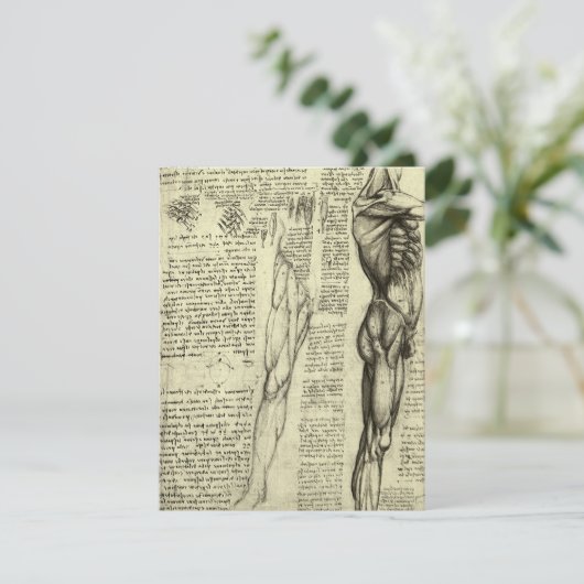 Leonardo da Vincis menschliche Anatomie männliche (Stehend Vorderseite)