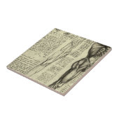 Leonardo da Vincis menschliche Anatomie männliche Fliese (Seite)