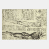 Leonardo da Vincis menschliche Anatomie männliche Geschenkpapier Set (Vorderseite)