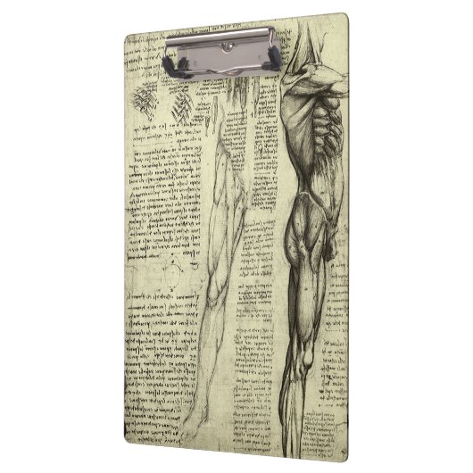 Leonardo da Vincis menschliche Anatomie männliche  Klemmbrett (Links)