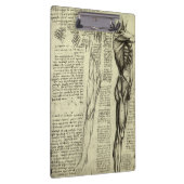 Leonardo da Vincis menschliche Anatomie männliche  Klemmbrett (Rechts)