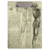 Leonardo da Vincis menschliche Anatomie männliche  Klemmbrett (Vorderseite)