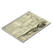 Leonardo da Vincis menschliche Anatomie männliche  Notizblock (Linke Seite)