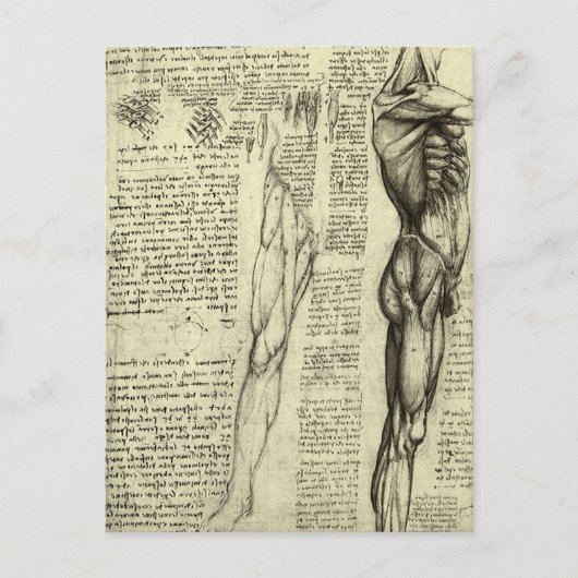 Leonardo da Vincis menschliche Anatomie männliche  Postkarte (Vorderseite)