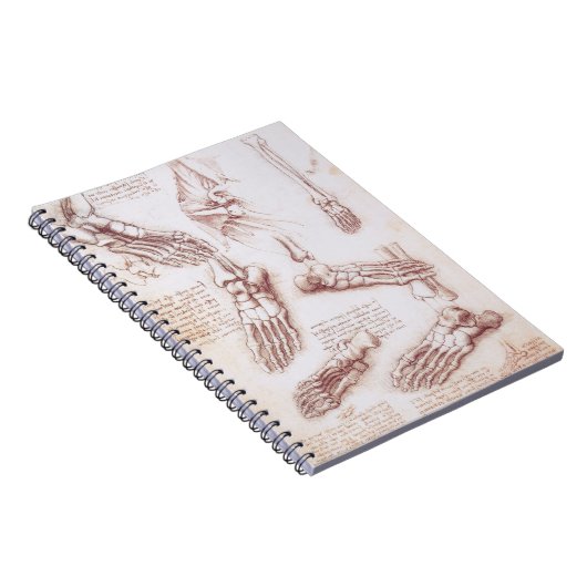 Leonardo da Vincis menschliche Anatomie Notizblock (Rechte Seite)