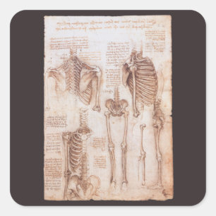 Leonardo da Vincis menschliche Anatomie Skelett Kn Quadratischer Aufkleber
