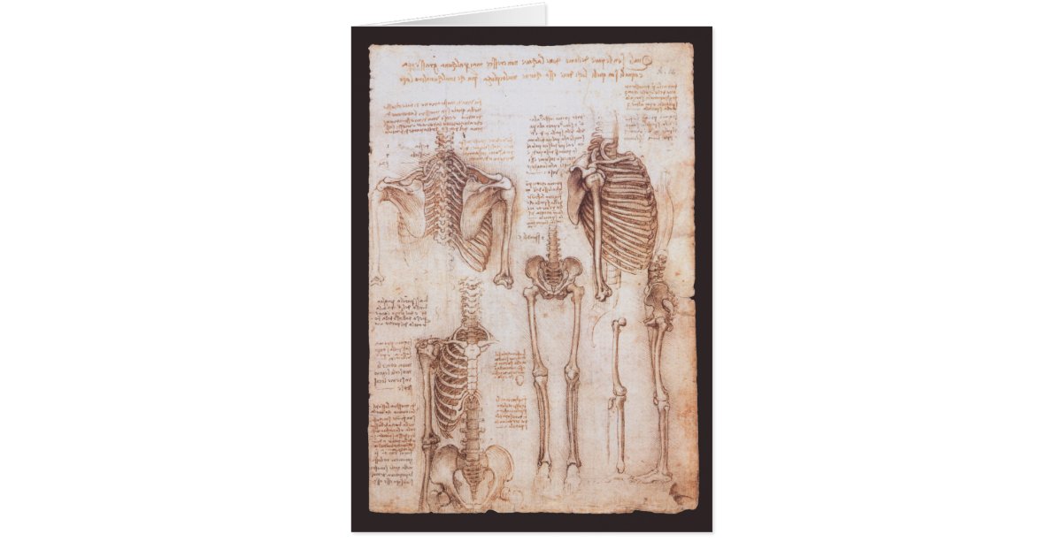 Leonardo da Vincis menschliche Anatomie Skelettkno | Zazzle.de