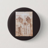 Leonardo da Vincis menschliche Anatomie Skelettkno Button (Vorderseite)