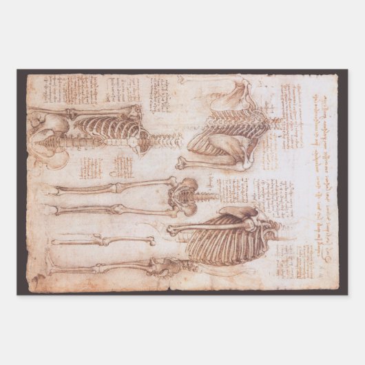 Leonardo da Vincis menschliche Anatomie Skelettkno Geschenkpapier Set (Vorderseite 3)