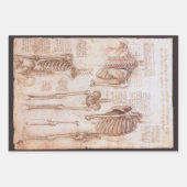 Leonardo da Vincis menschliche Anatomie Skelettkno Geschenkpapier Set (Vorderseite 2)