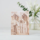 Leonardo da Vincis menschliche Anatomie Skelettkno Postkarte (Stehend Vorderseite)