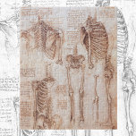 Leonardo da Vincis menschliche Anatomie Skelettkno Puzzle<br><div class="desc">Das Skelettstudium (um 1510) des Künstlers Leonardo da Vinci (1452-1519) ist ein Vintages Renaissance-Zeitalter für Kunstwissenschaften. Ein zeichn mit mehreren Skeletten eines gesunden menschlichen Körpers aus einigen Ansichten von Rippen, der Bänder, Armen, Beinen, Femuren, Tibia, Beckenknochen, Wirbelsäule, etc. Ein großartiges Design für jeden in der Medizin oder als Wissenschaftsfreak. Skizze...</div>