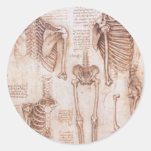 Leonardo da Vincis menschliche Anatomie Skelettkno Runder Aufkleber (Vorderseite)