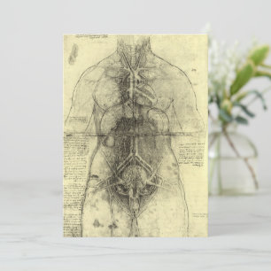 Leonardo da Vincis menschliche Anatomie, weibliche