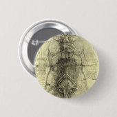 Leonardo da Vincis menschliche Anatomie, weibliche Button (Vorne & Hinten)