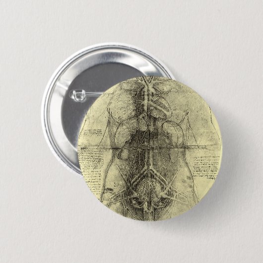 Leonardo da Vincis menschliche Anatomie, weibliche Button (Vorne & Hinten)