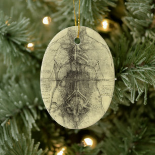 Leonardo da Vincis menschliche Anatomie, weibliche Keramikornament