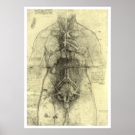 Leonardo da Vincis menschliche Anatomie, weibliche Poster