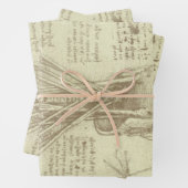 Leonardo da Vincis menschliche Anatomie-Wirbelsäul Geschenkpapier Set (Beispiel)