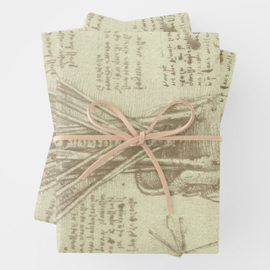 Leonardo da Vincis menschliche Anatomie-Wirbelsäul Geschenkpapier Set (Beispiel)
