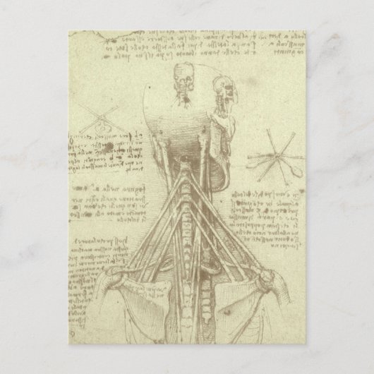 Leonardo da Vincis menschliche Anatomie-Wirbelsäul Postkarte (Vorderseite)