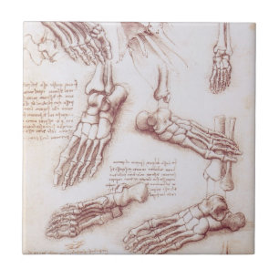 Leonardo da Vincis menschliche Fußknochen Anatomie Fliese