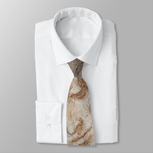 Leonardo da Vincis Studie des Leiters von Leda Krawatte (Gebunden)