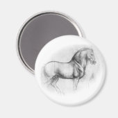 Leonardo DaVinci Horse Magnet (Vorderseite/Rückseite)