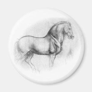 Leonardo DaVinci Horse Magnet