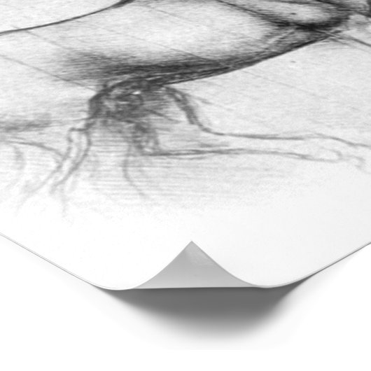 Leonardo DaVinci Pferdeposter Poster (Ecke)