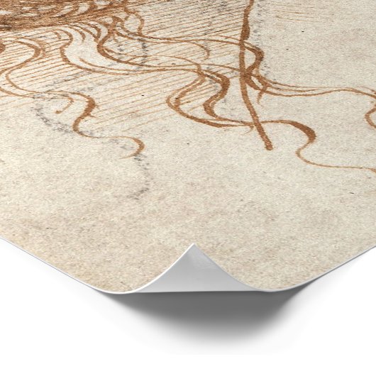 Leonardo Leiter der Zeichnend Frau Poster (Ecke)