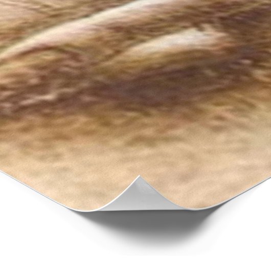 LEONARDO Leonardo da Vinci HANDS Handstudie Poster (Ecke)