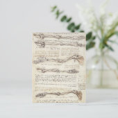 Leonardo Limb Postcard Postkarte (Stehend Vorderseite)