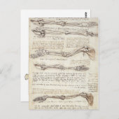 Leonardo Limb Postcard Postkarte (Vorne/Hinten)