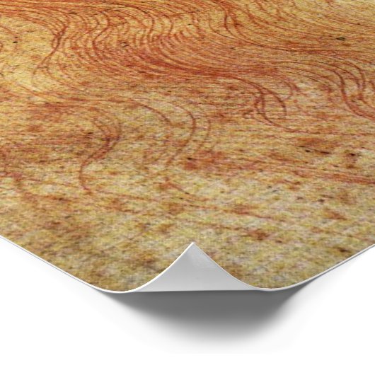 Leonardo Poster (Ecke)