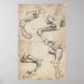 Leonardo Study For Horse Legs Poster (Vorne)