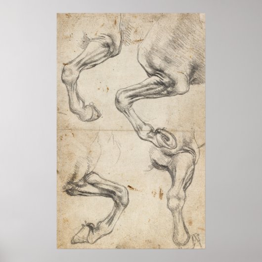 Leonardo Study For Horse Legs Poster (Vorne)