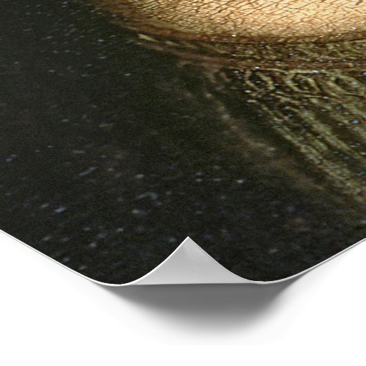 Leonardo Vinci | Mona Lisa, c.1503-6 Poster (Ecke)