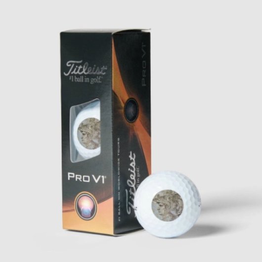 Leonardo's Helmeted Warrior Golfball