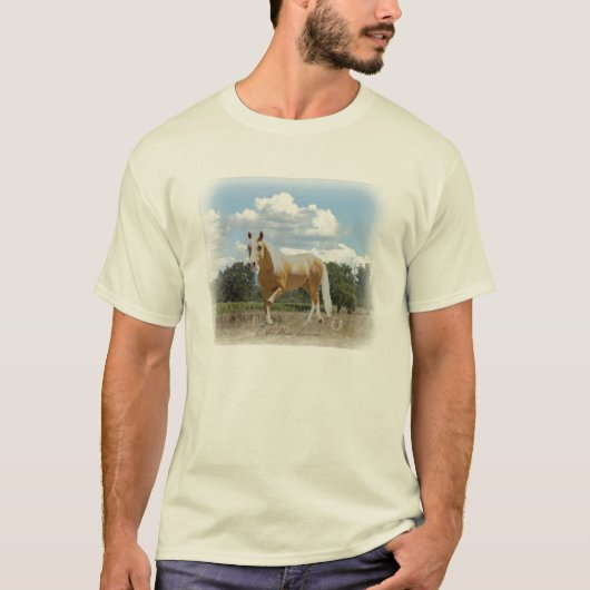 LeonardoSkyEarth T-Shirt (Vorderseite)