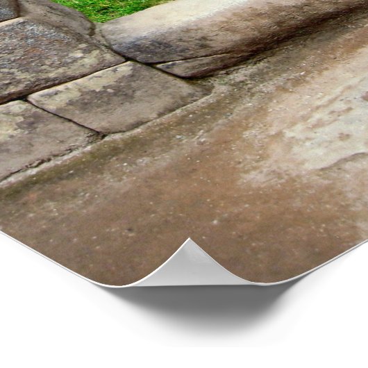 LEONBAUM VON MACHU PICHU POSTER (Ecke)